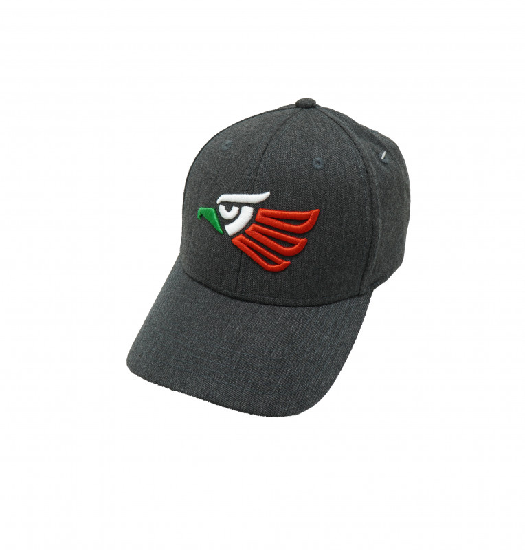 Malahi Land Fly Eagle Embroidered Cap - Ash